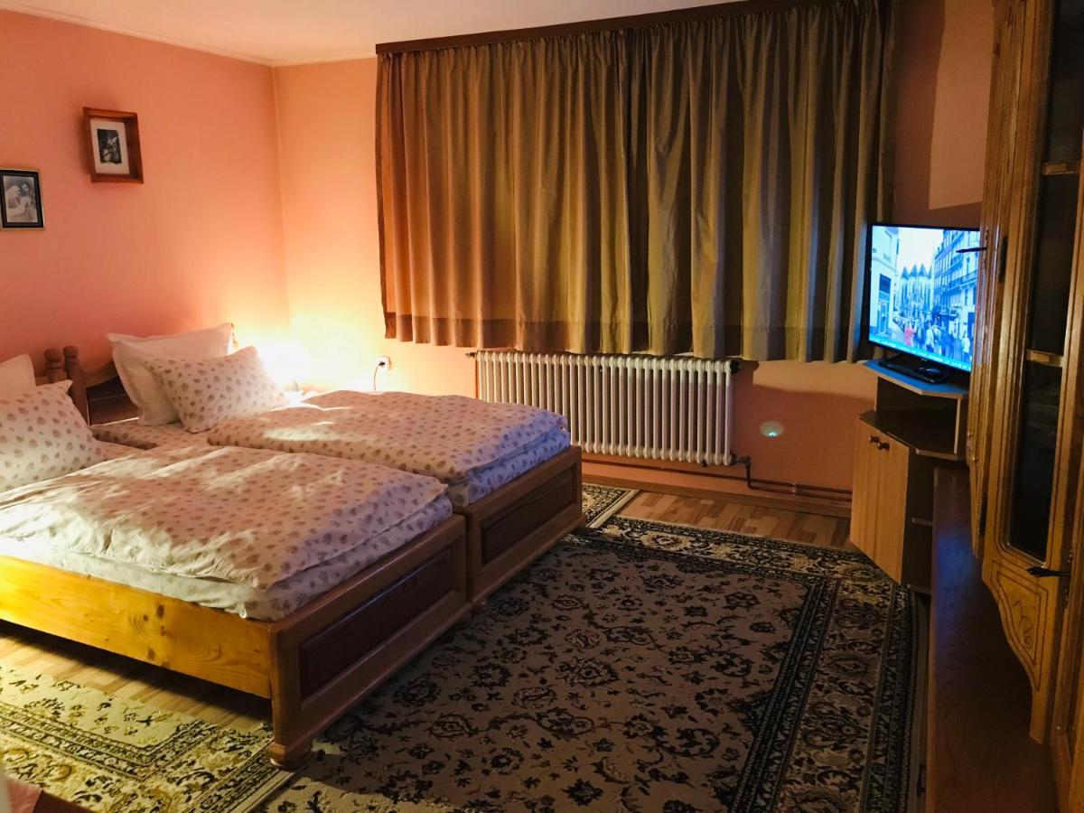 Apartament Vica جورا هومورولوي المظهر الخارجي الصورة