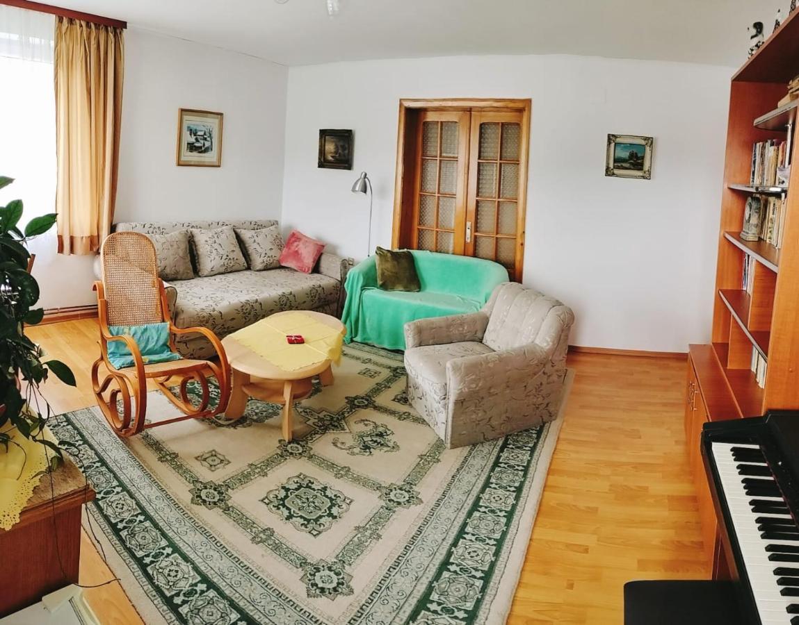 Apartament Vica جورا هومورولوي المظهر الخارجي الصورة