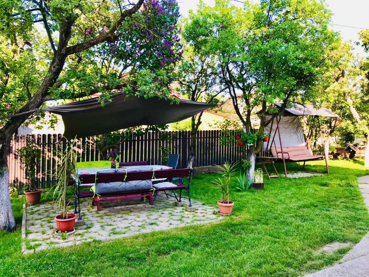 Apartament Vica جورا هومورولوي المظهر الخارجي الصورة