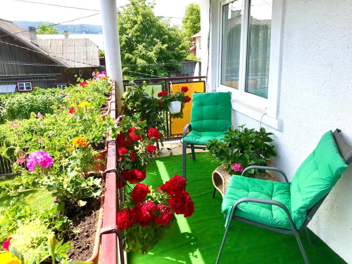 Apartament Vica جورا هومورولوي المظهر الخارجي الصورة